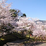 金竜山農村公園