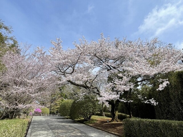 恩賜箱根公園の写真
