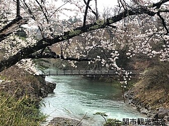 平泉町の桜開花 満開情報 21 日本気象協会 Tenki Jp