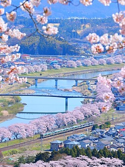 宮城県の桜開花 満開情報 21 日本気象協会 Tenki Jp