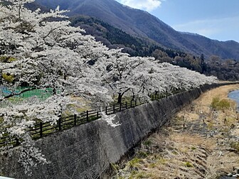 老神温泉