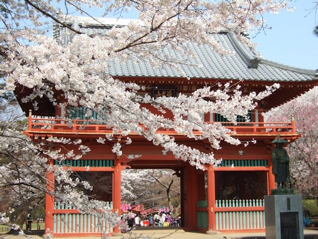 清水公園の桜開花 満開情報 22 日本気象協会 Tenki Jp