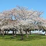 水元公園