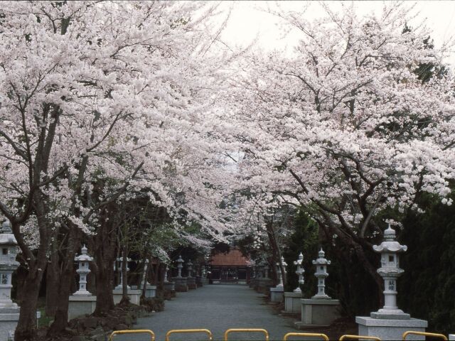 冨士御室浅間神社の写真