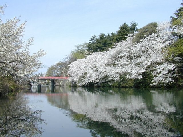 高岡古城公園の写真