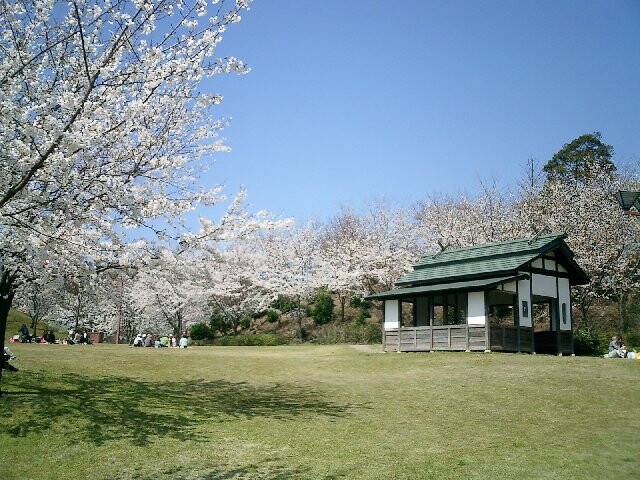 志乎・桜の里 古墳公園の写真