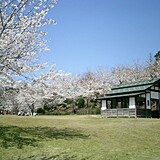 志乎・桜の里 古墳公園