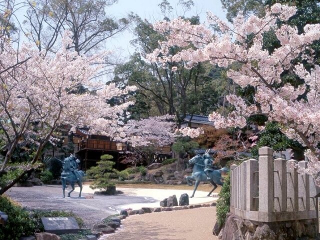 須磨寺の桜開花 満開情報 22 日本気象協会 Tenki Jp