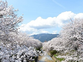 奈良県の桜開花 満開情報 21 日本気象協会 Tenki Jp