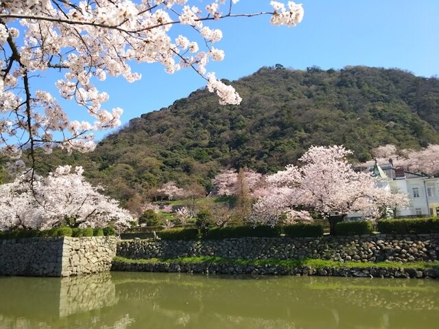 鳥取城跡・久松公園の写真