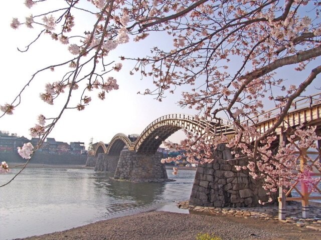 錦帯橋周辺の写真