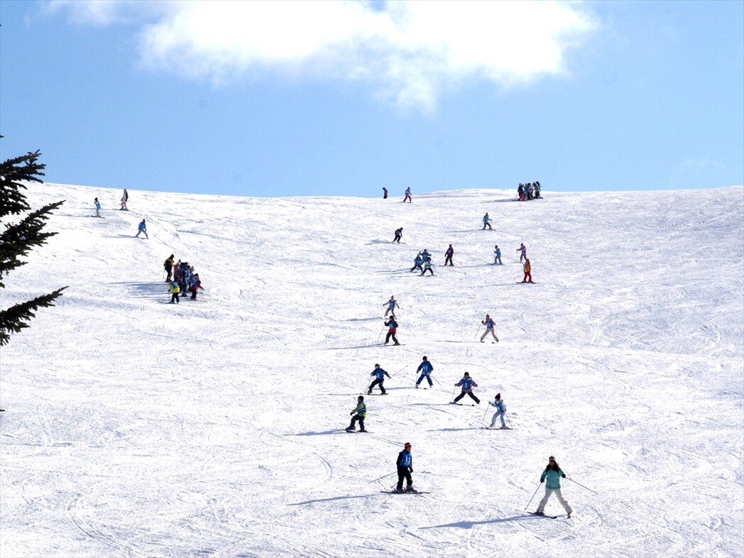ダイナスティスキーリゾートのスキー場 天気積雪情報 スキー場画像 日本気象協会 Tenki Jp