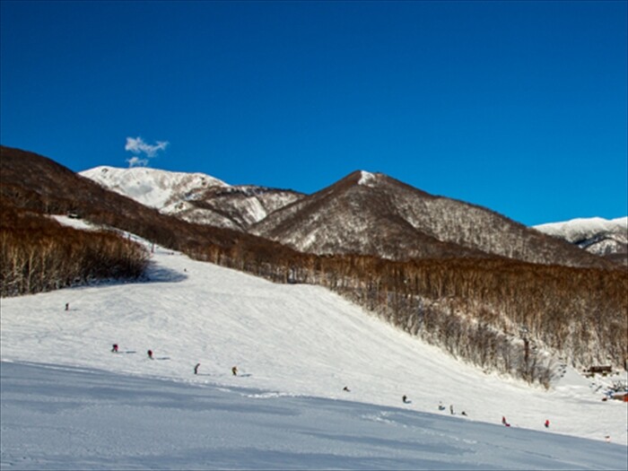 網張温泉 スキー場・天気積雪情報【リフト券・スクール】 - 日本気象