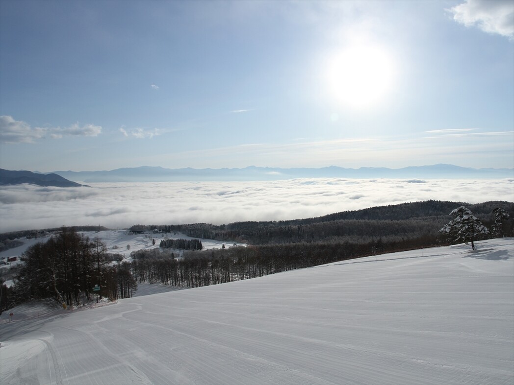 黒姫高原スノーパーク スキー場・天気積雪情報【基本情報・コース情報