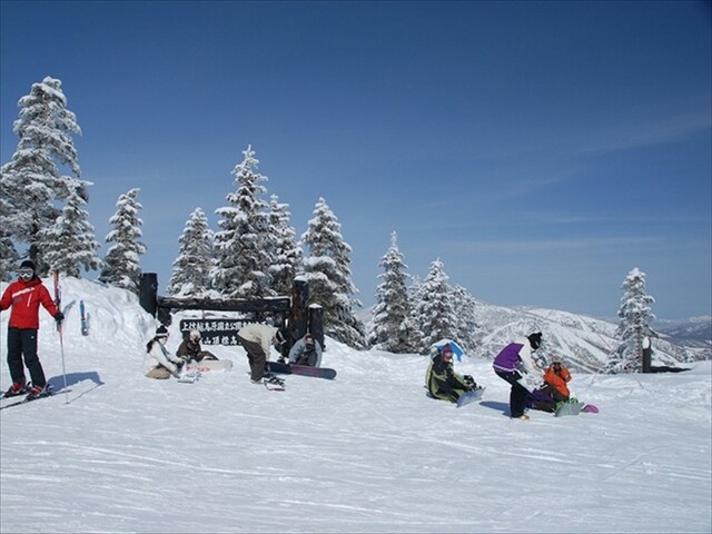 志賀高原中央エリア 東館山のスキー場 天気積雪情報 基本情報 コース情報 日本気象協会 Tenki Jp