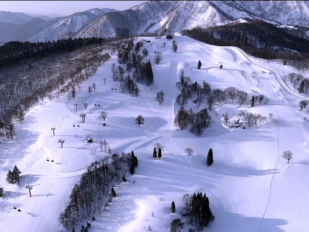 スノーウェーブパーク白鳥高原 スキー場 天気積雪情報 スキー場画像 日本気象協会 Tenki Jp