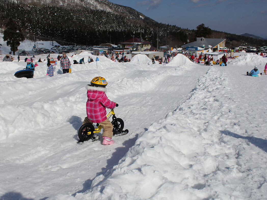 ハチ高原