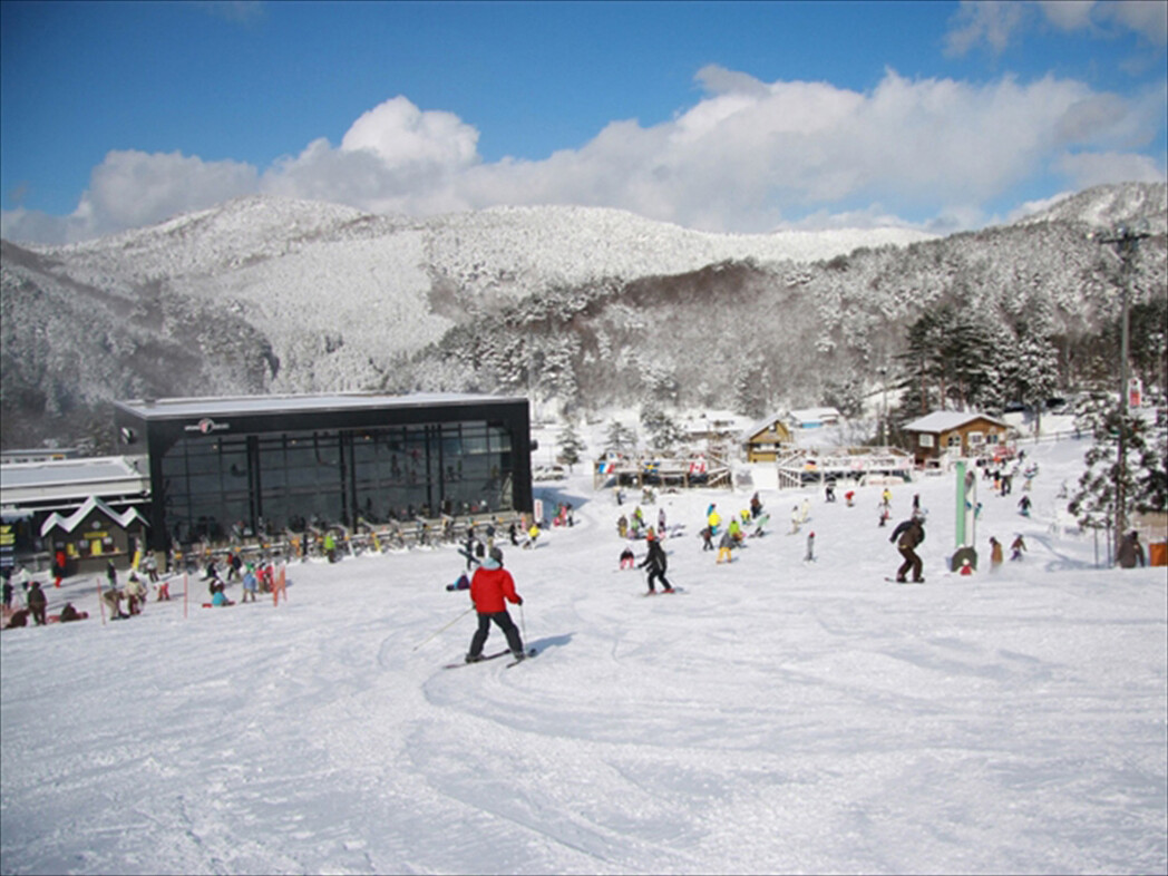 ユートピアサイオト スキー場・天気積雪情報【クーポン・リフト券